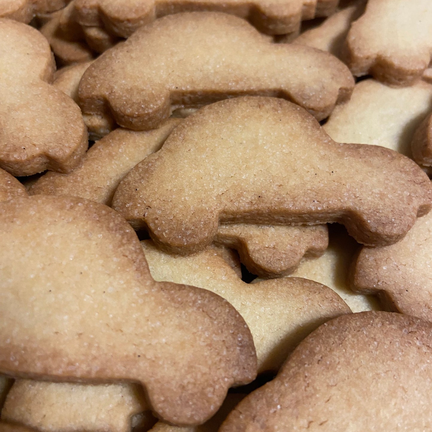 Krokante vanillekoekjes (met print)