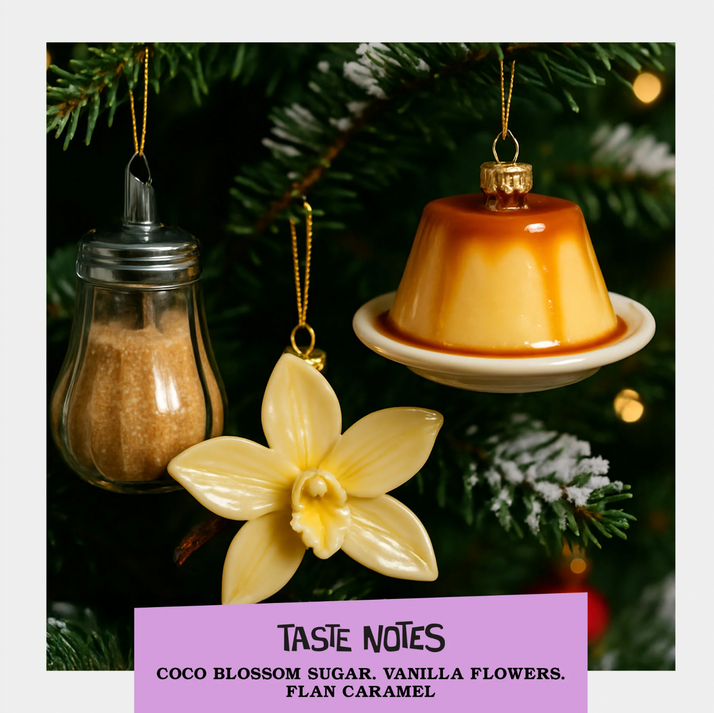 X-MAS Filter/Espresso - Peru AMANCAY