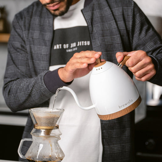 Brewista - Artisan Gooseneck Variable Kettle