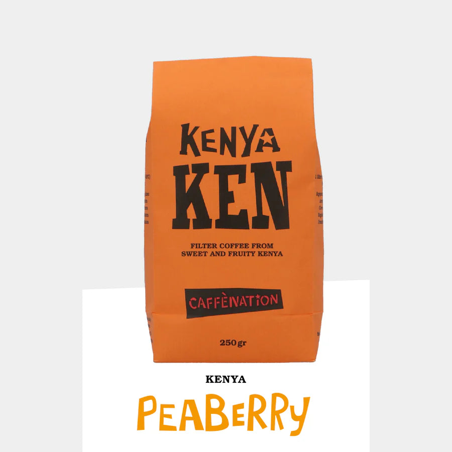 FILTER - Kenya Muranga GATUGUA PEABERRY