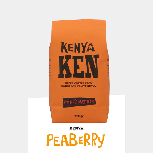 FILTER - Kenya Muranga GATUGUA PEABERRY