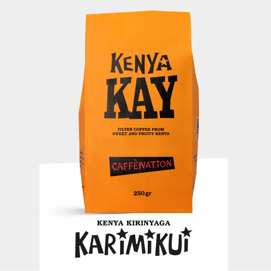 FILTER - Kenya Kirinyaga KARIMIKUI AA