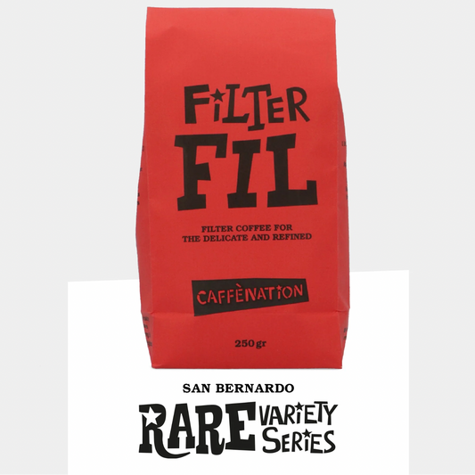 FILTER - Filter Fil - Rare Variety Series: SAN BERNARDO