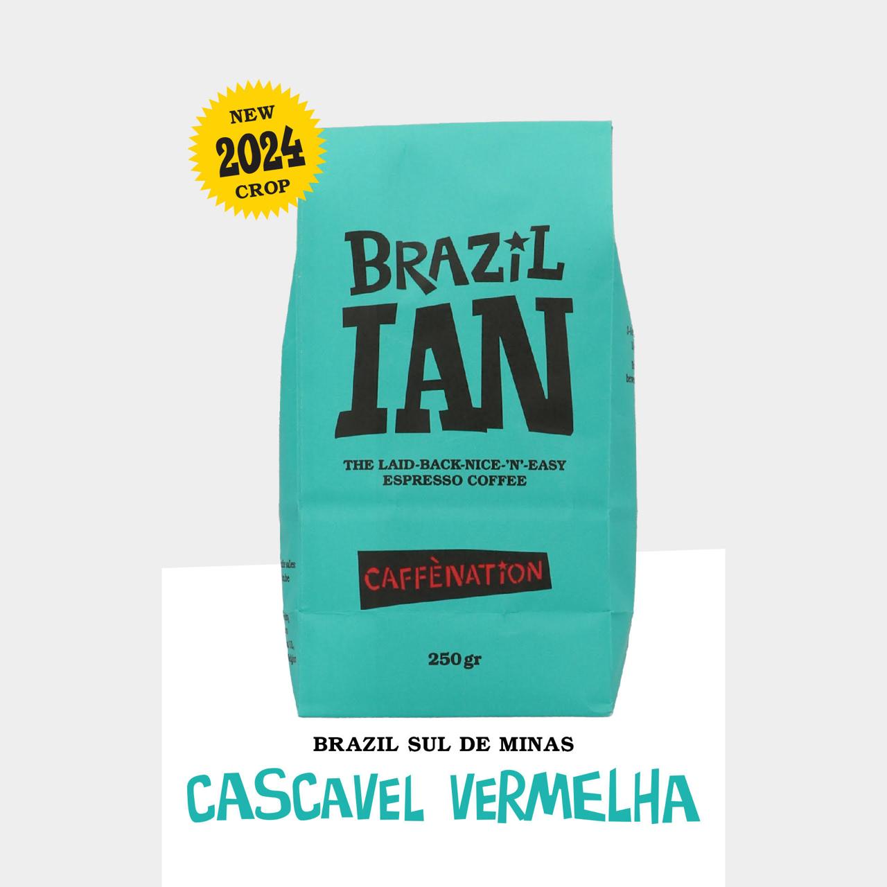 ESPRESSO - Brazil IAN - CASCAVEL VERMELHA Natural 2024 Crop